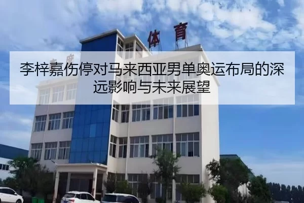 李梓嘉伤停对马来西亚男单奥运布局的深远影响与未来展望